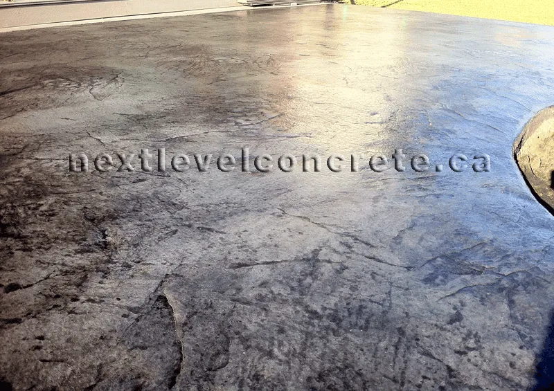 Seamless Skin Stamped Edmonton